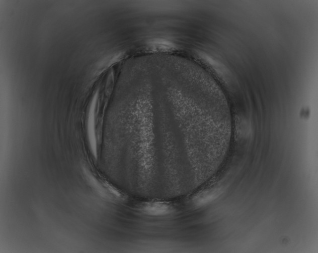 X0000092270451200710051343