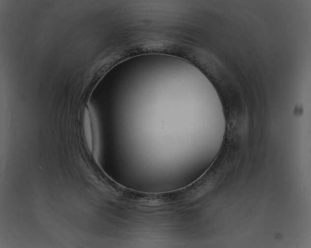 X0000092270454200710051343