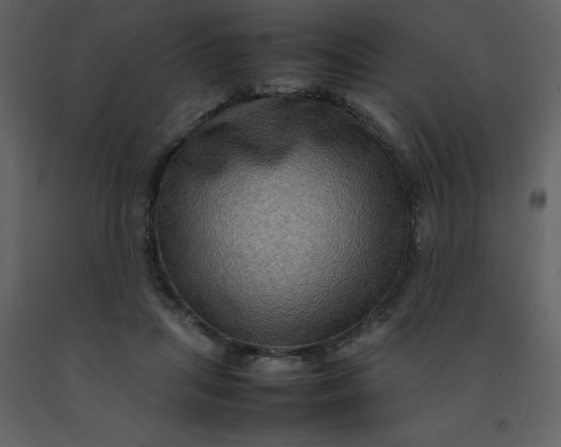 X0000092270455200710051343