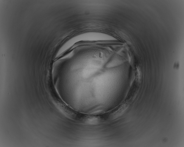 X0000092270456200710051343