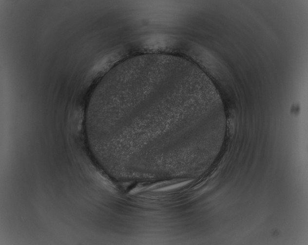 X0000092270458200710051343