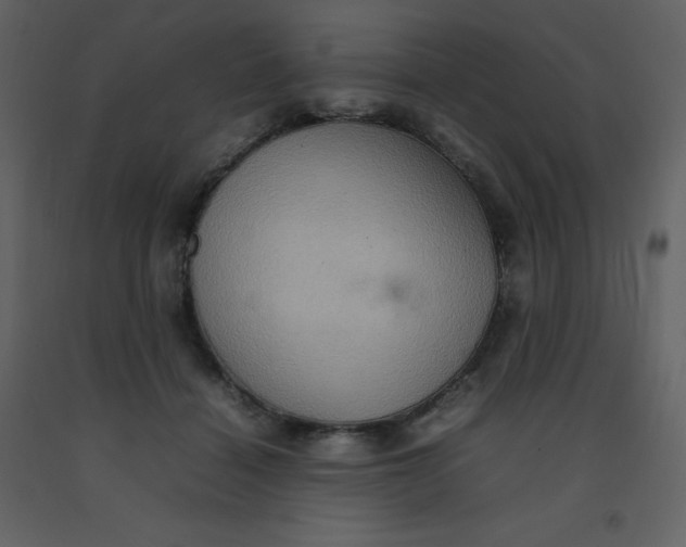 X0000092270460200710051343