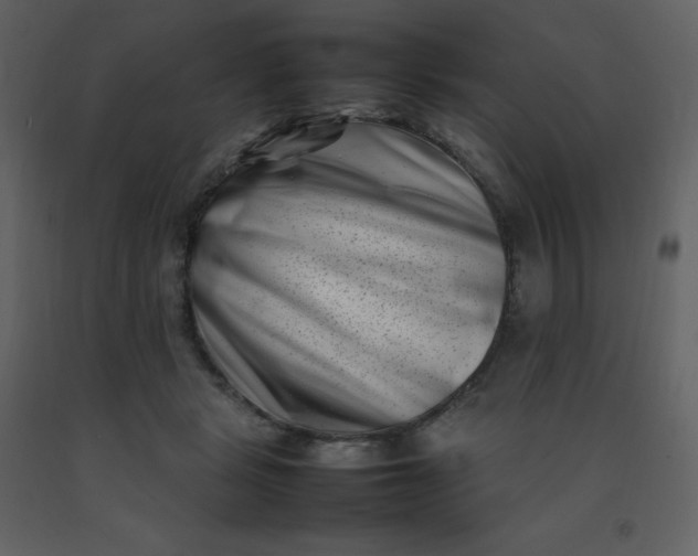 X0000092270461200710051343