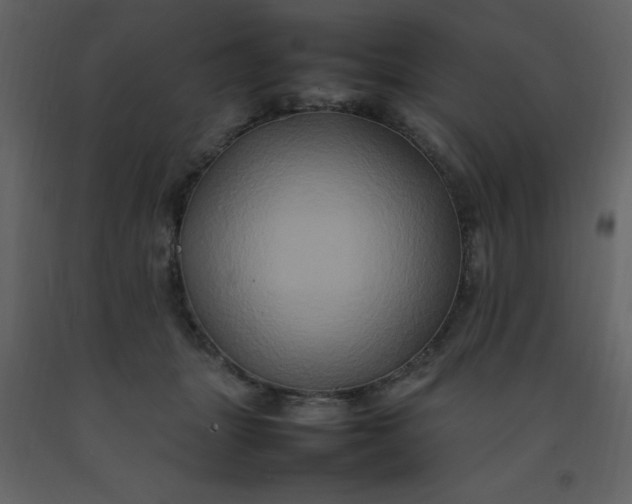 X0000092270463200710051343