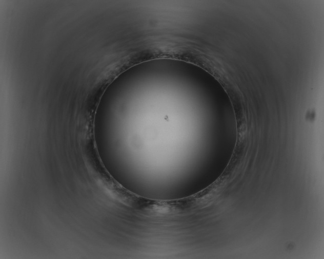 X0000092270464200710051343