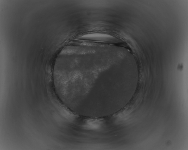 X0000092270465200710051343