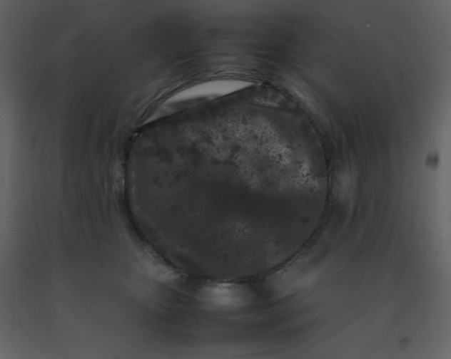 X0000092270467200710051343