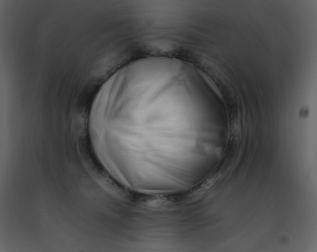 X0000092270468200710051343