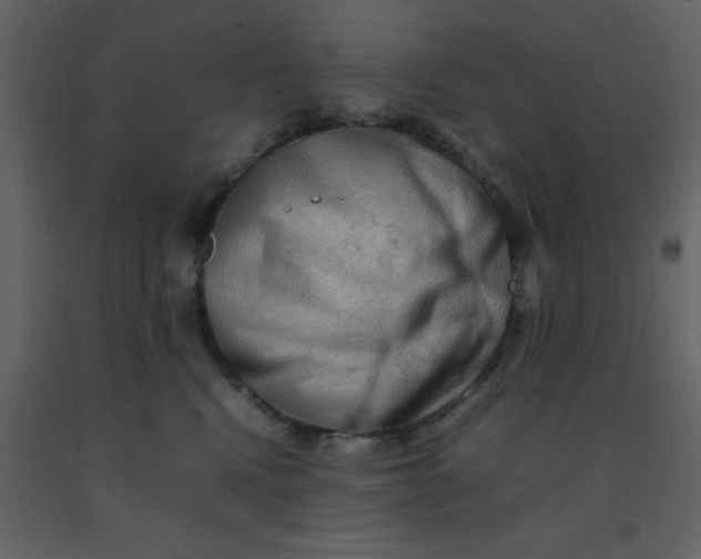X0000092270472200710051343