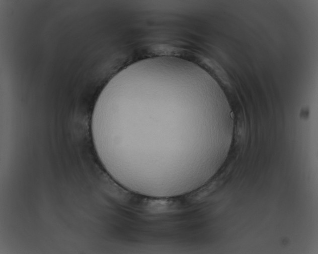 X0000092270473200710051343