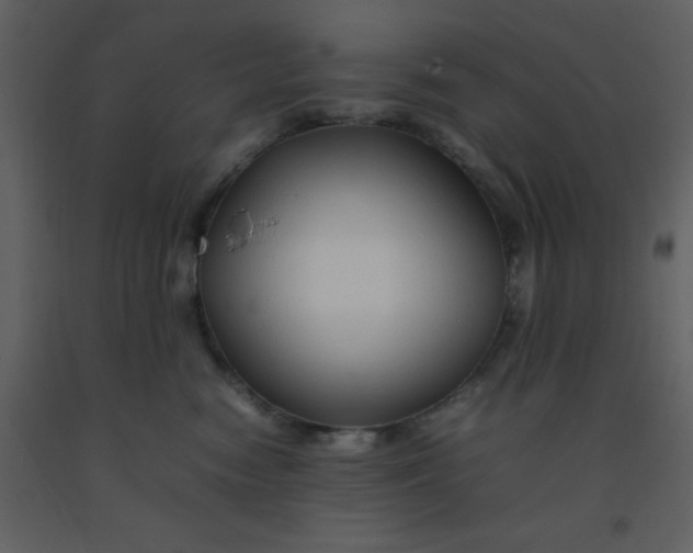 X0000092270474200710051343