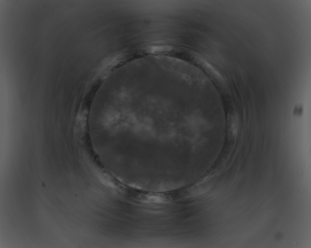 X0000092270475200710051343