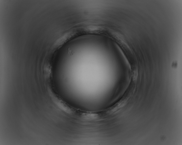 X0000092270476200710051343