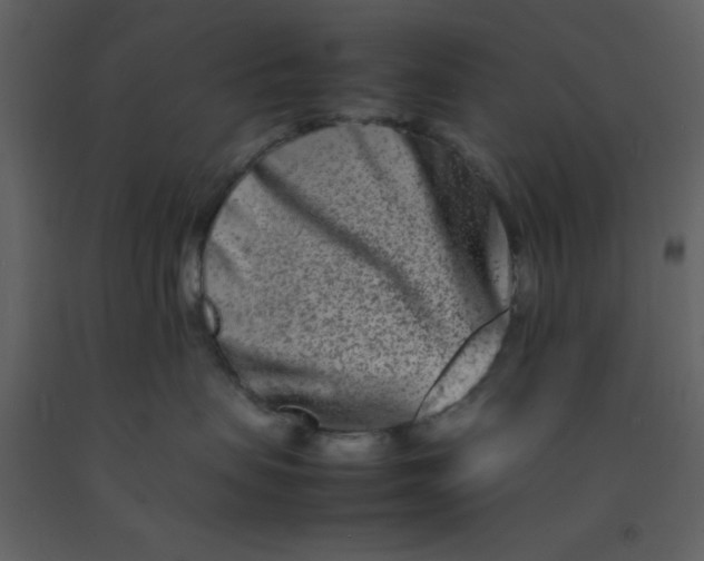 X0000092270479200710051343