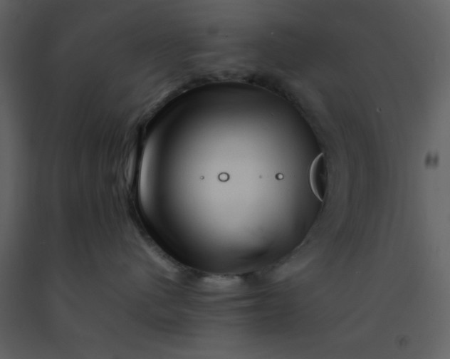 X0000092270480200710051343