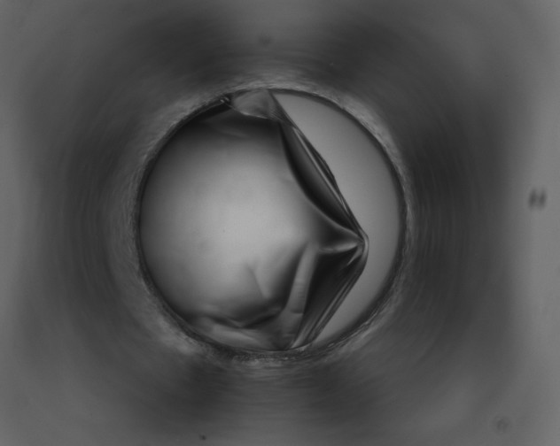 X0000092270481200710051343