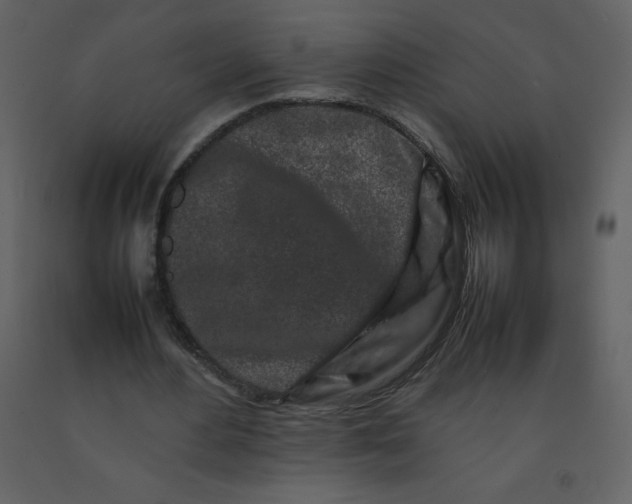 X0000092270484200710051343