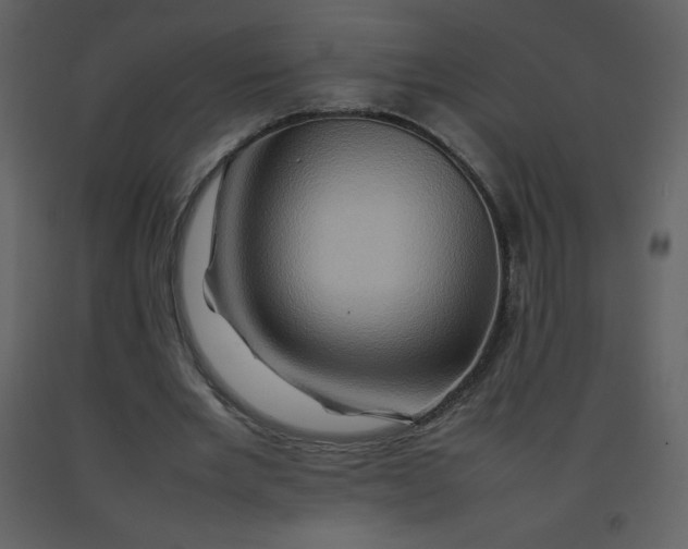 X0000092270485200710051343