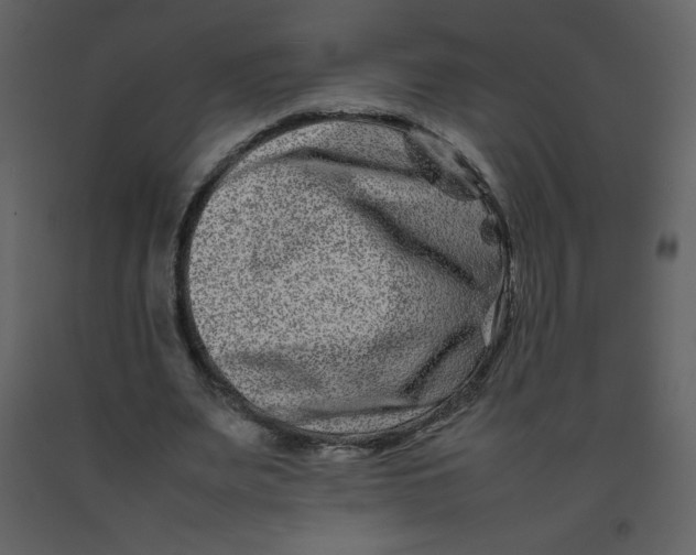 X0000092270487200710051343