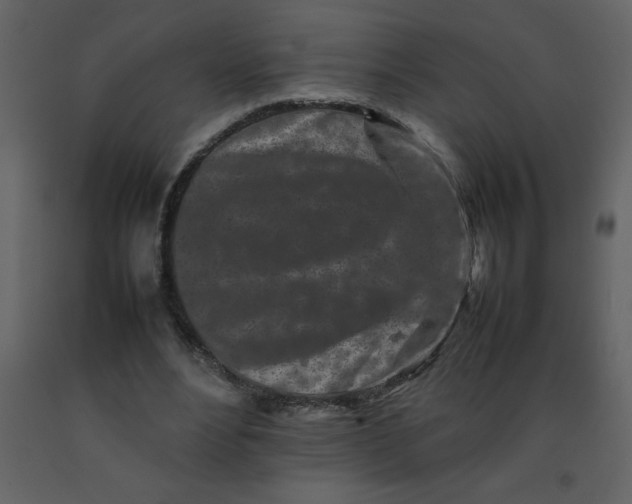 X0000092270488200710051343