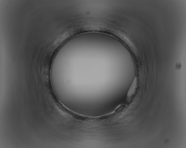 X0000092270489200710051343