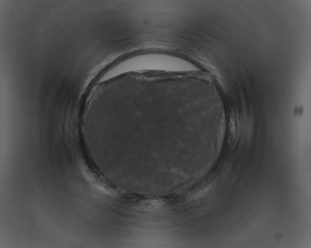 X0000092270492200710051342