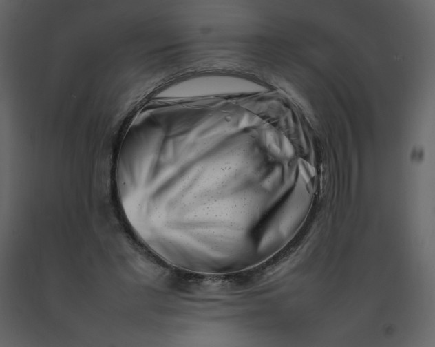 X0000092270493200710051342