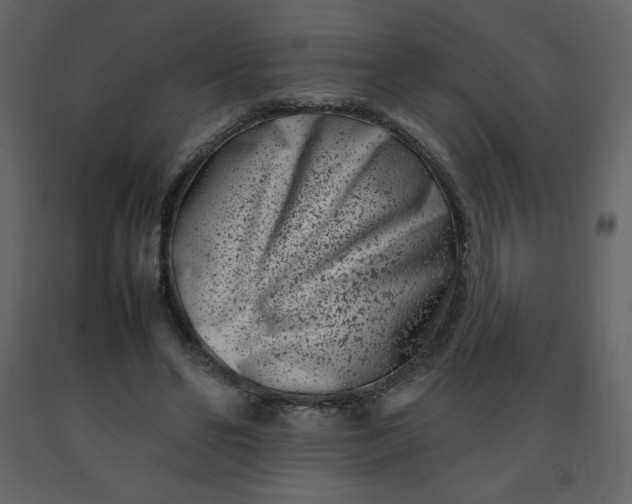 X0000092270494200710051342