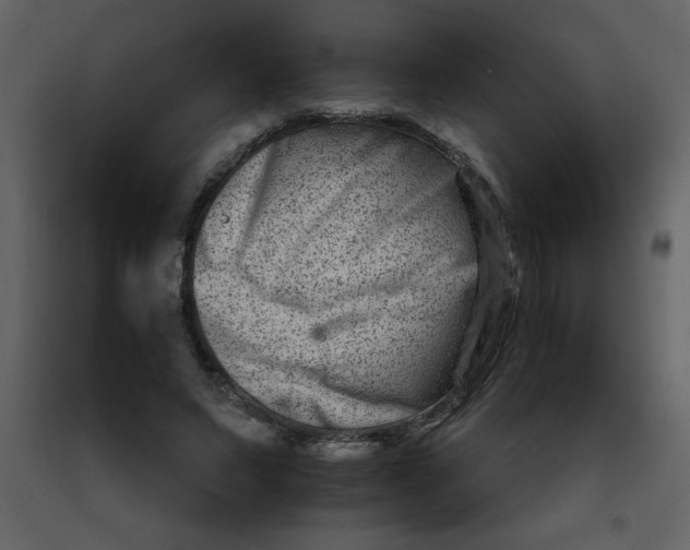 X0000092270495200710051342