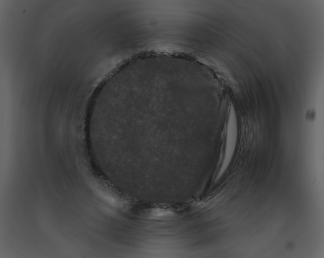 X0000092270496200710051342