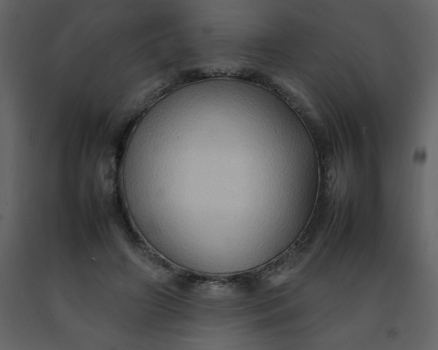 X0000092270498200710051342