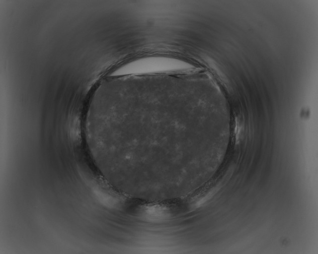 X0000092270500200710051342