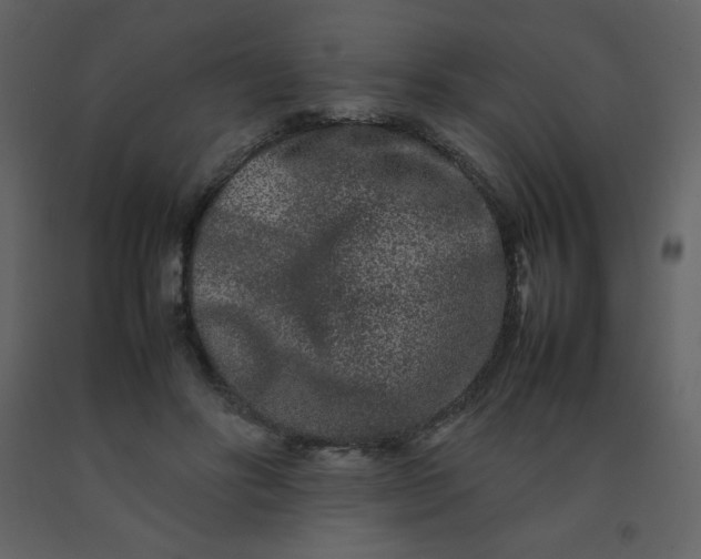 X0000092270502200710051342