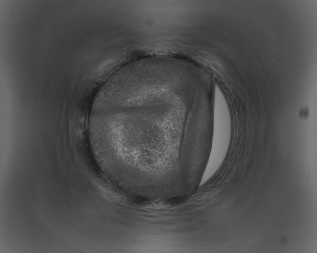 X0000092270503200710051342