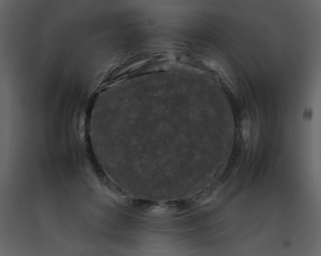 X0000092270504200710051342