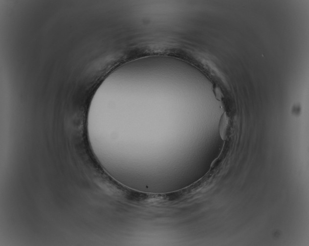 X0000092270505200710051342