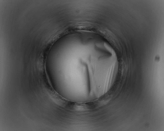 X0000092270510200710051342