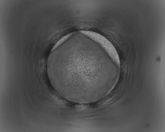 X0000092270511200710051342