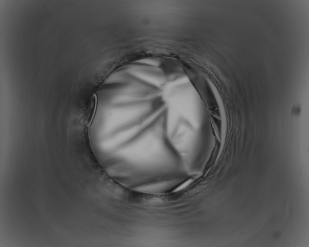 X0000092270513200710051342