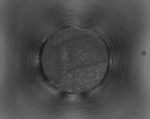 X0000092270516200710051342