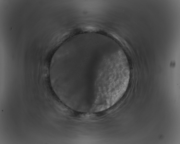 X0000092270517200710051342