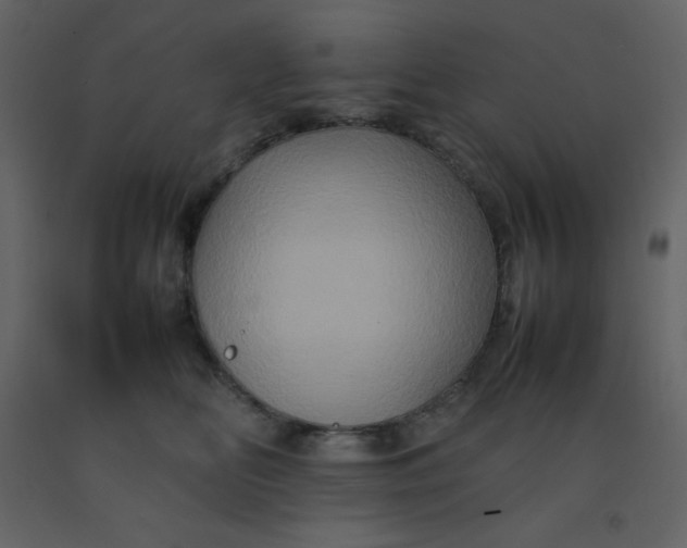 X0000092270518200710051342