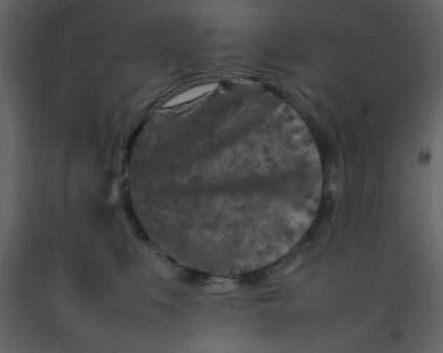 X0000092270519200710051342