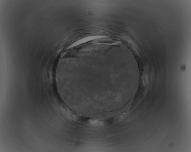 X0000092270520200710051342