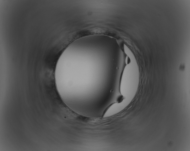 X0000092270521200710051342