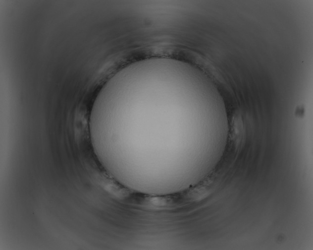 X0000092270522200710051342