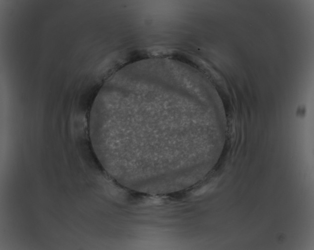 X0000092270523200710051342