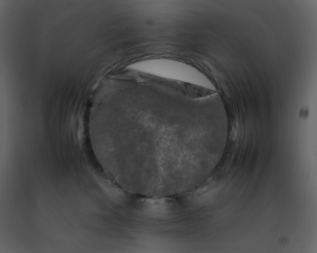 X0000092270524200710051342