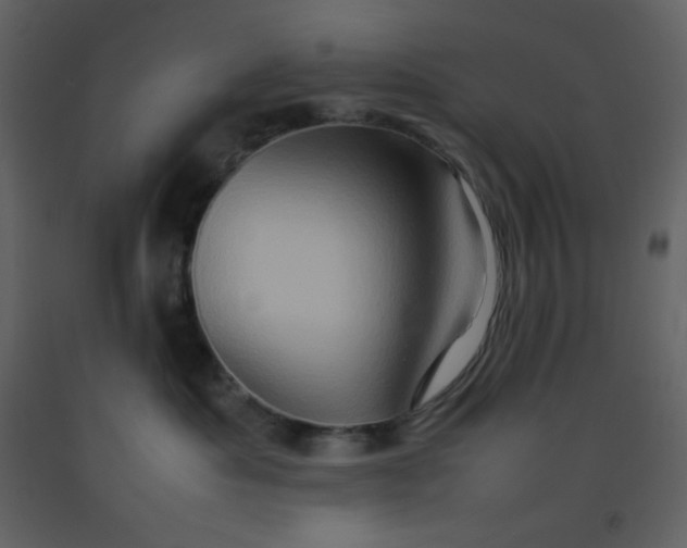 X0000092270525200710051342