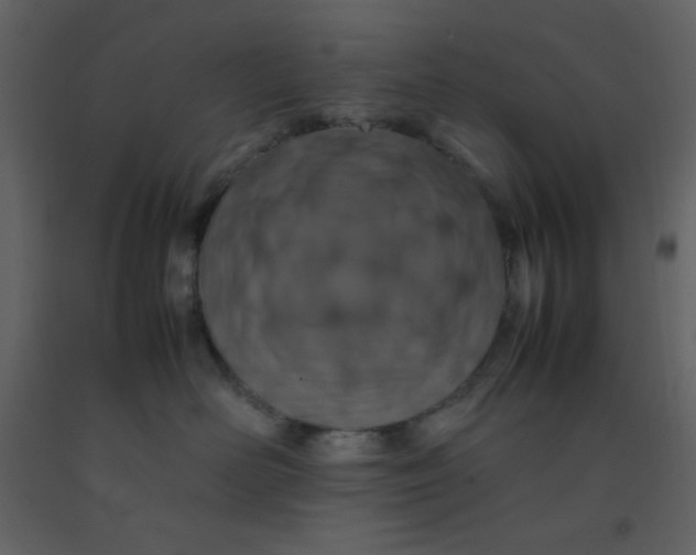 X0000092270526200710051342